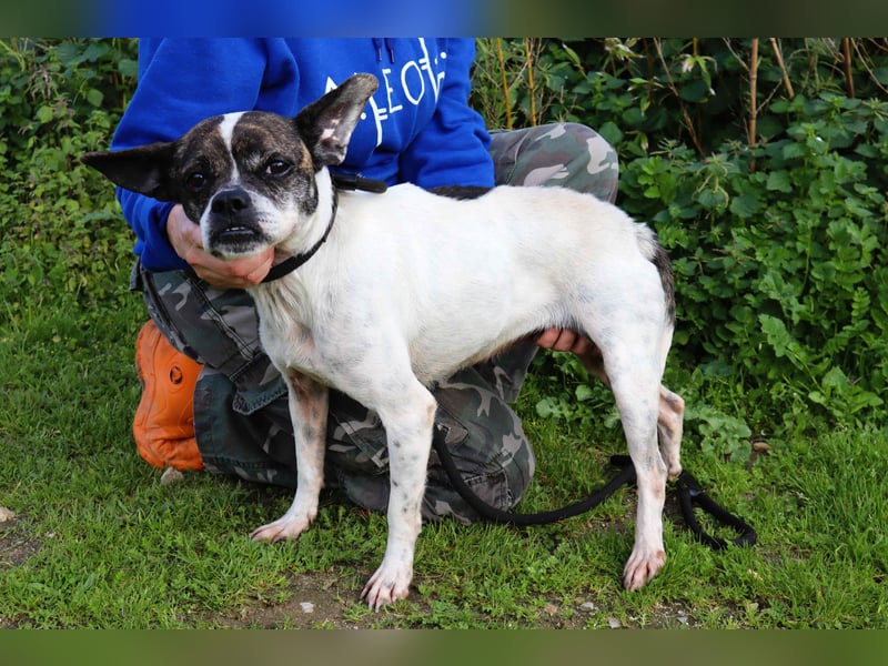 Typisch Frohnatur ♦️I Z Z Y ♦️ in der Cantinho da Milu ⏳ 1/2026