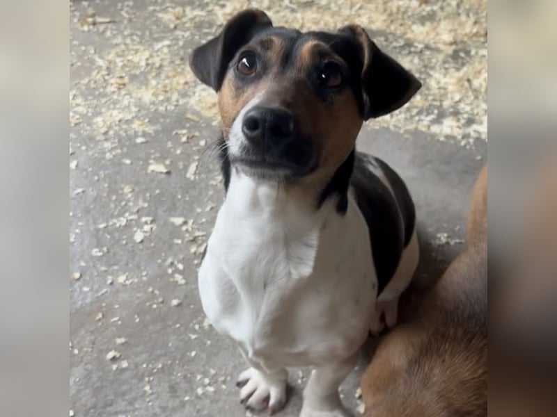 WARTKA MÖCHTE ANKOMMEN