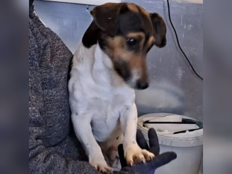 WARTKA MÖCHTE ANKOMMEN