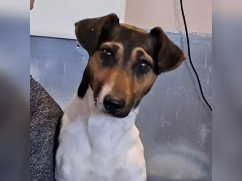 WARTKA MÖCHTE ANKOMMEN