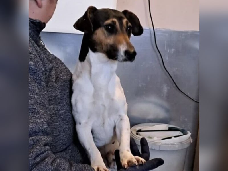 WARTKA MÖCHTE ANKOMMEN