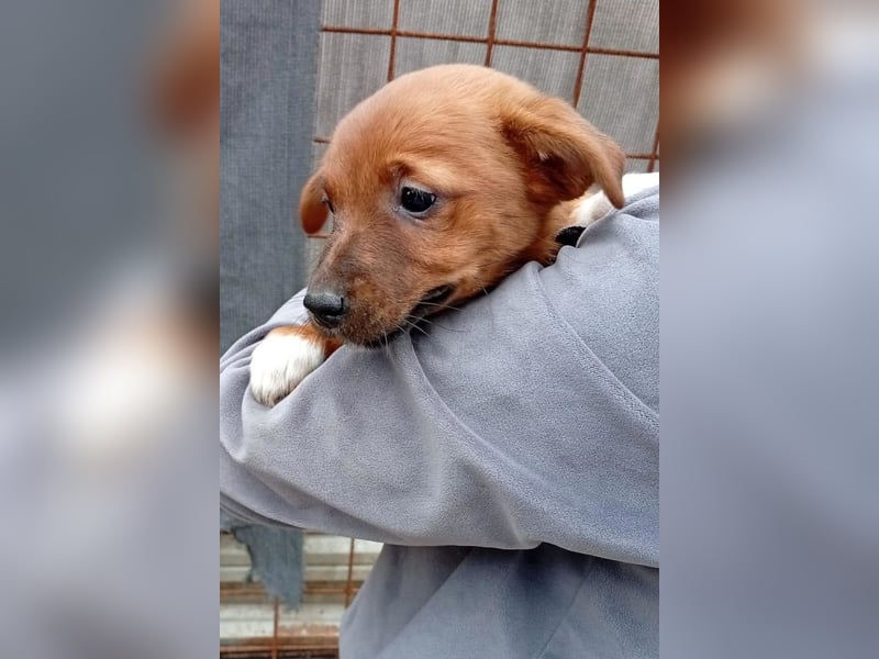 Winnie ❤️ so verspielt, aktiv, verschmust