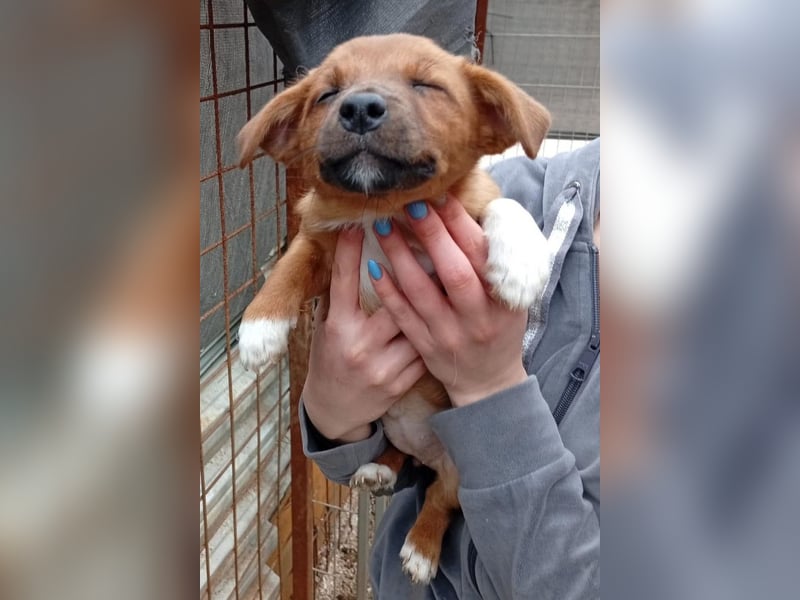 Winnie ❤️ so verspielt, aktiv, verschmust