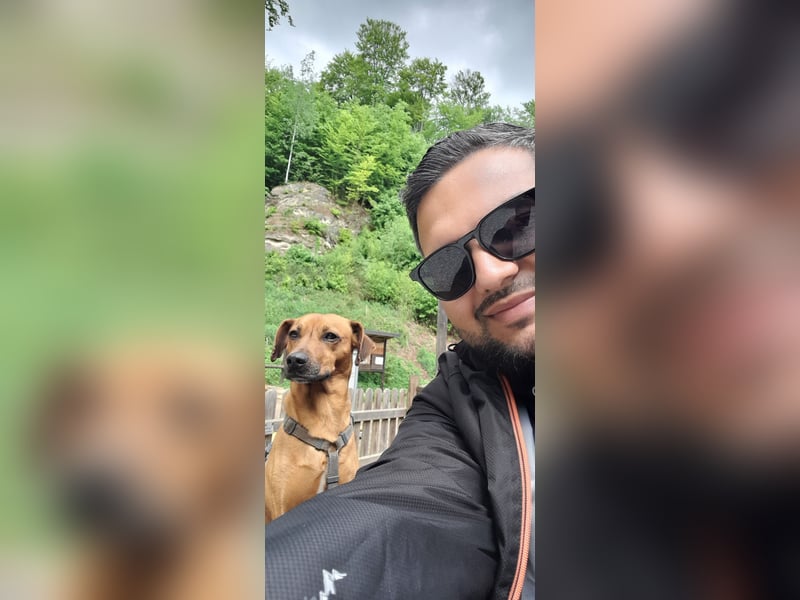 Rocky Rüde sucht seinen Rentner/-in