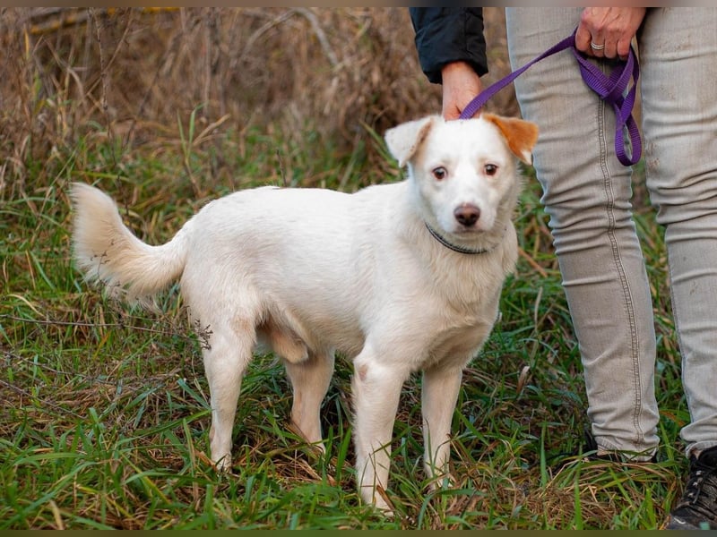 Bucket - Schmusebacke (Ukraine)