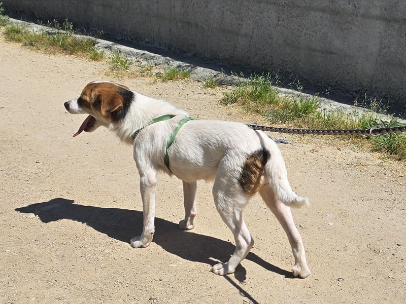 Gilda: erobert alle Herzen mit ihrer Fröhlichkeit