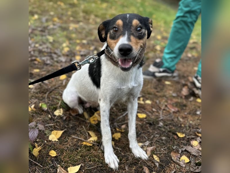 Mali ein verlorenes Mädchen