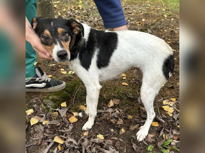 Mali ein verlorenes Mädchen