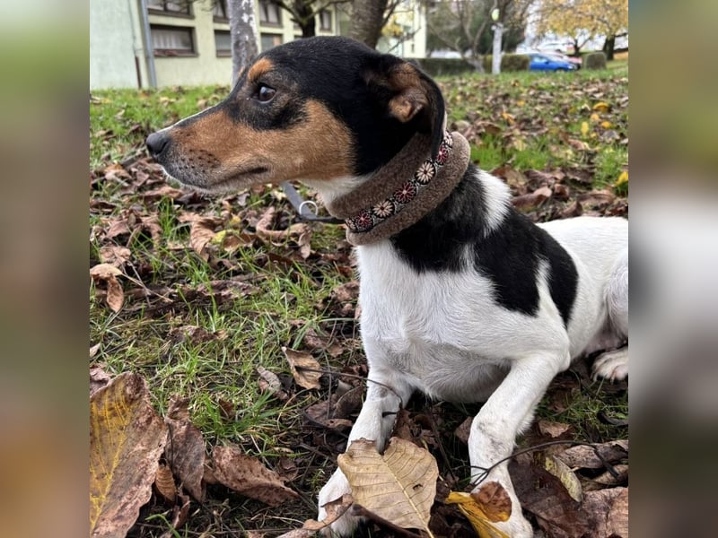 Mali ein verlorenes Mädchen