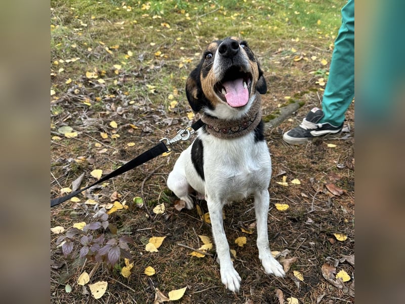 Mali ein verlorenes Mädchen