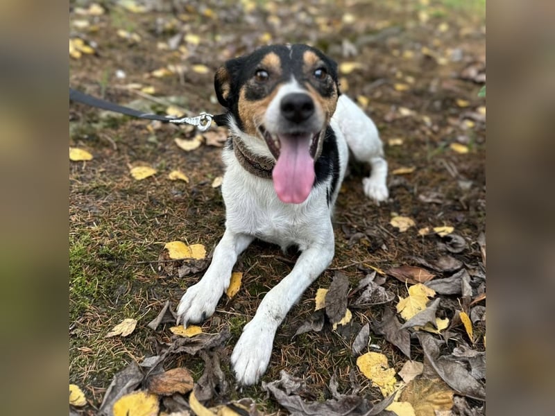 Mali ein verlorenes Mädchen