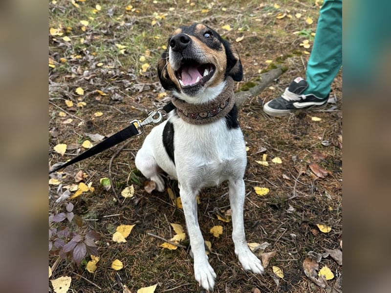 Mali ein verlorenes Mädchen