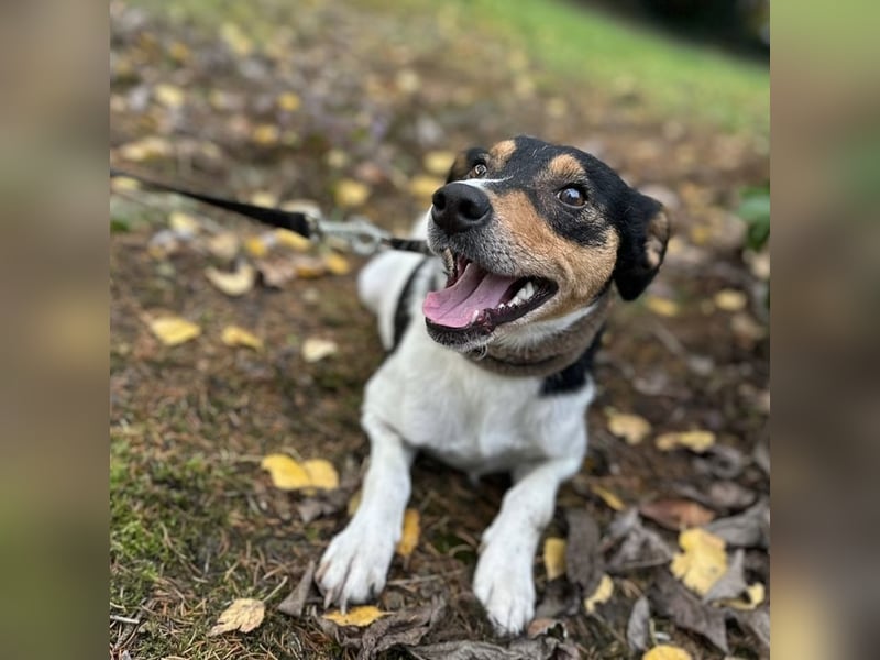 Mali ein verlorenes Mädchen