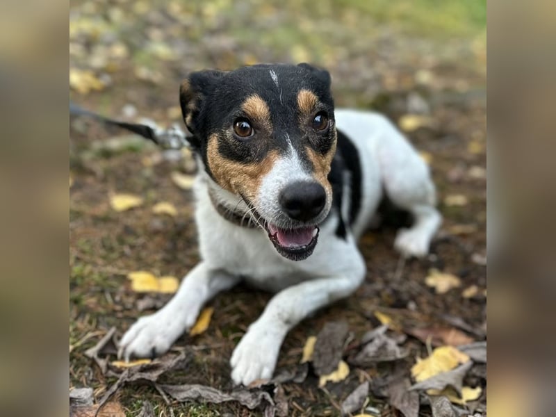 Mali ein verlorenes Mädchen