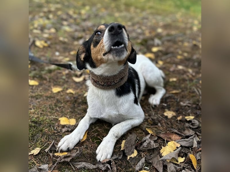 Mali ein verlorenes Mädchen