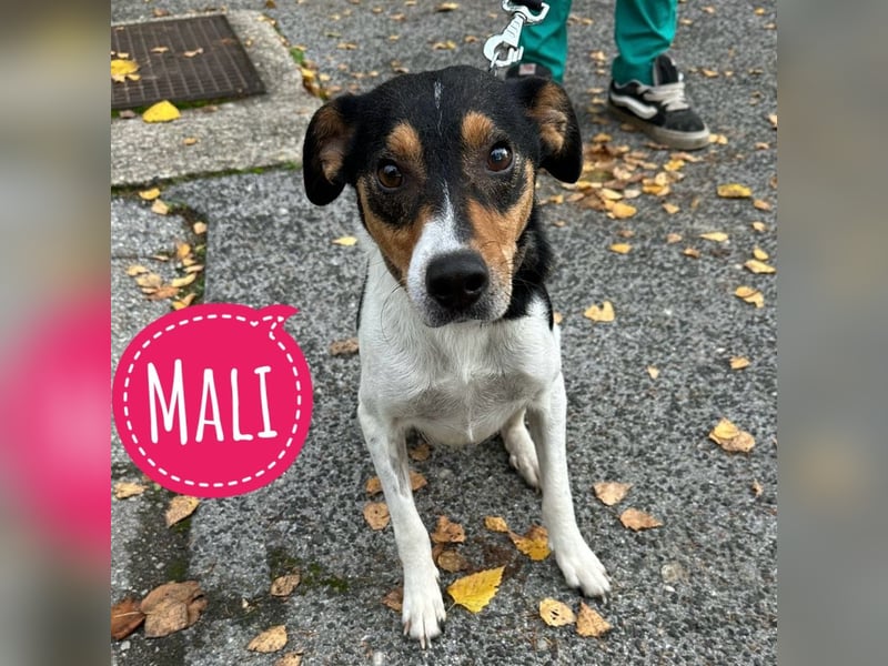 Mali ein verlorenes Mädchen