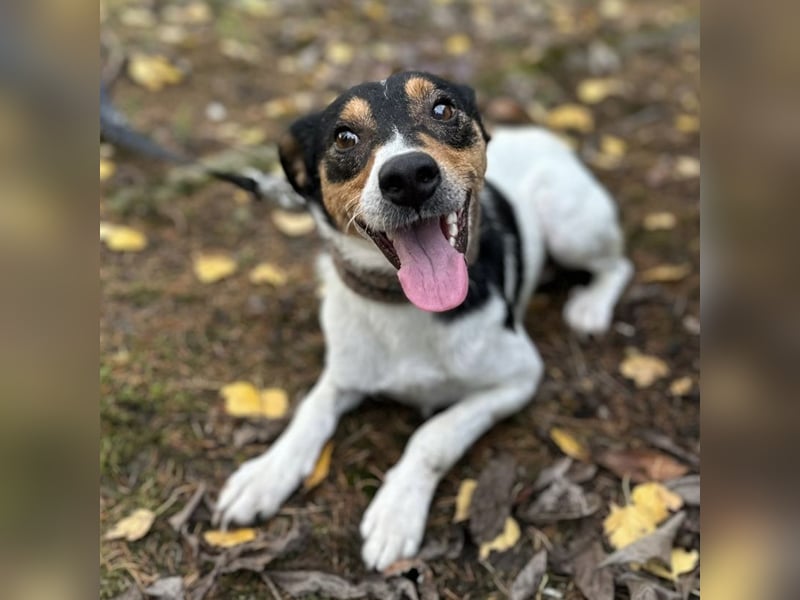 Mali ein verlorenes Mädchen