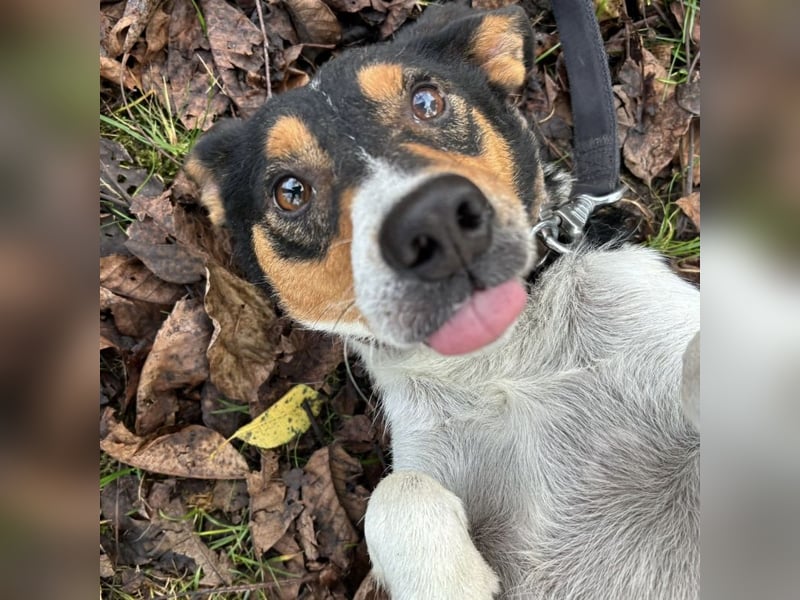 Mali ein verlorenes Mädchen