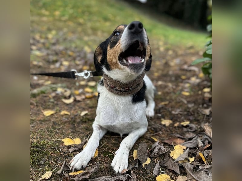 Mali ein verlorenes Mädchen