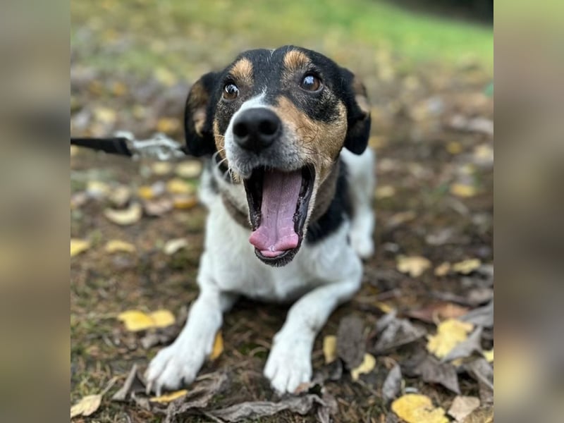 Mali ein verlorenes Mädchen