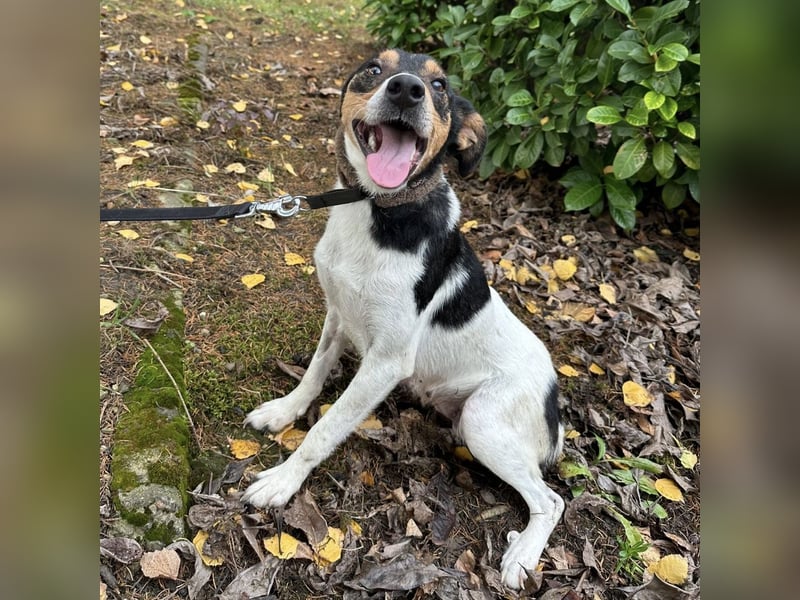 Mali ein verlorenes Mädchen