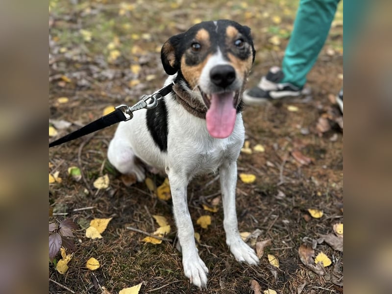 Mali ein verlorenes Mädchen