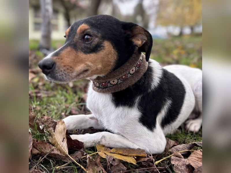 Mali ein verlorenes Mädchen