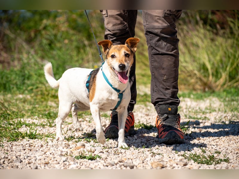 Auri möchte Teil eurer Familie werden