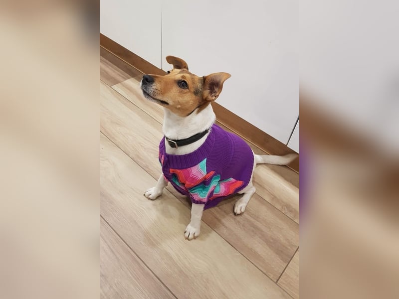 Auri möchte Teil eurer Familie werden