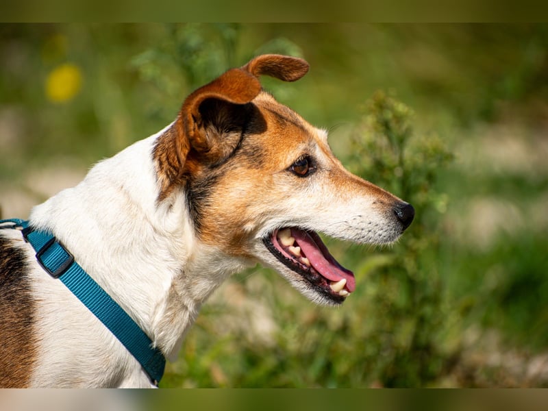 Auri möchte Teil eurer Familie werden