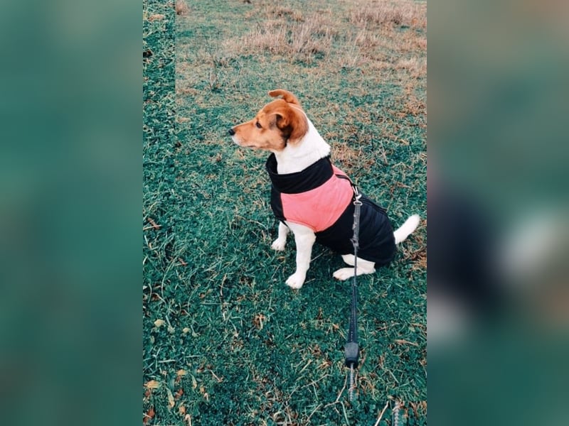 Auri möchte Teil eurer Familie werden