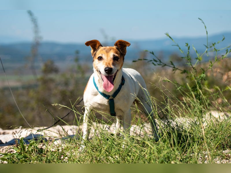 Auri möchte Teil eurer Familie werden