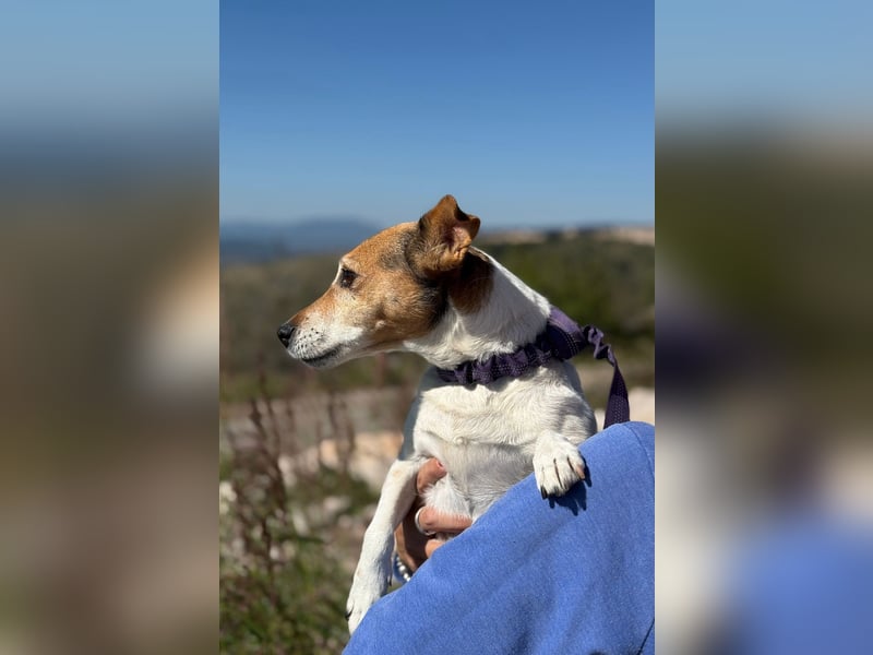 Auri möchte Teil eurer Familie werden