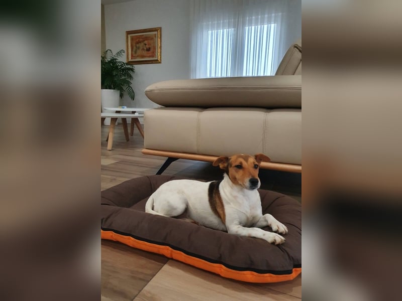 Auri möchte Teil eurer Familie werden