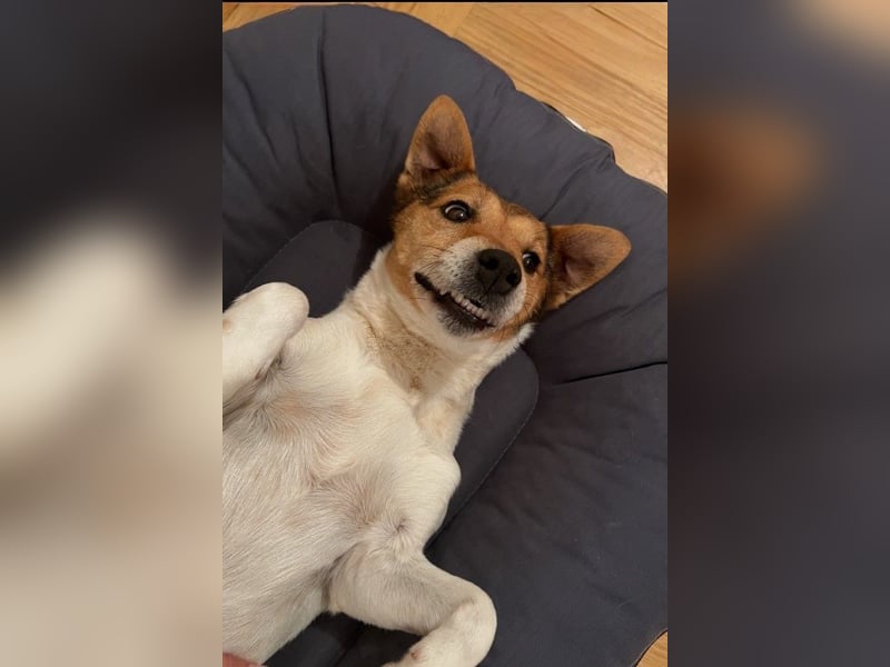 Auri möchte Teil eurer Familie werden