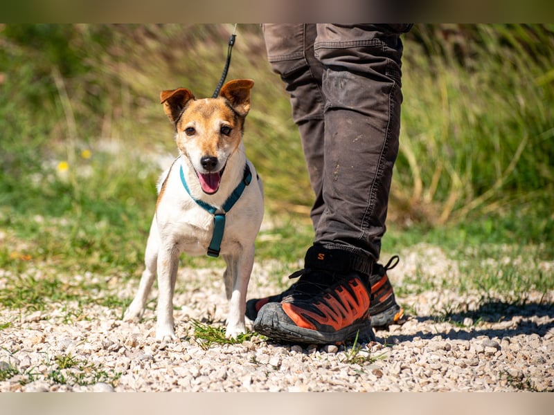 Auri möchte Teil eurer Familie werden