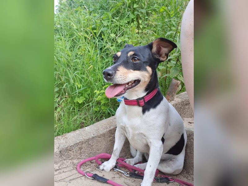 Elli, 9 Jahre, 30cm sucht neues Zuhause