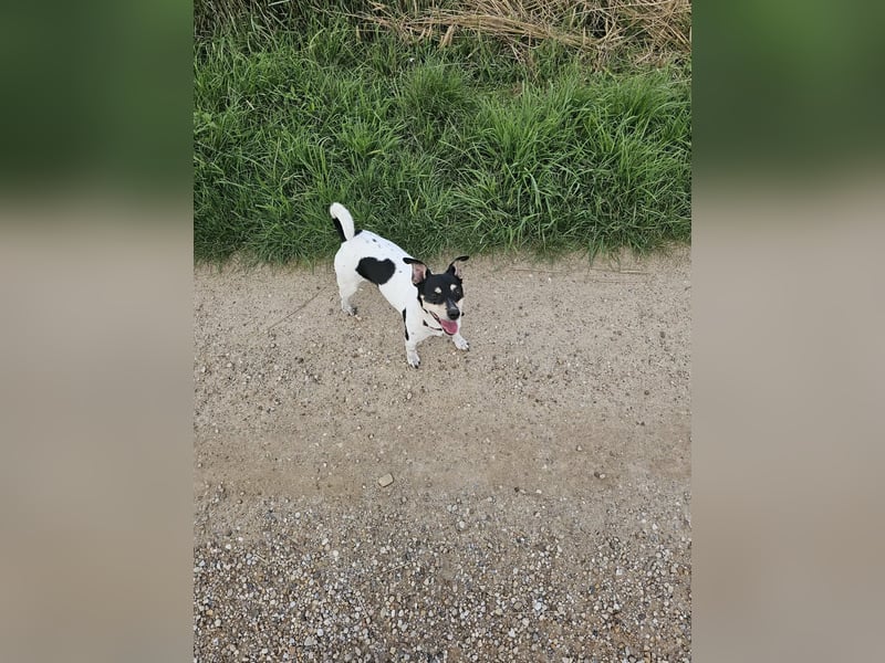 Elli, 9 Jahre, 30cm sucht neues Zuhause