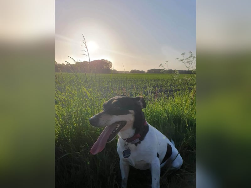 Elli, 9 Jahre, 30cm sucht neues Zuhause