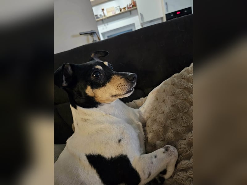 Elli, 9 Jahre, 30cm sucht neues Zuhause