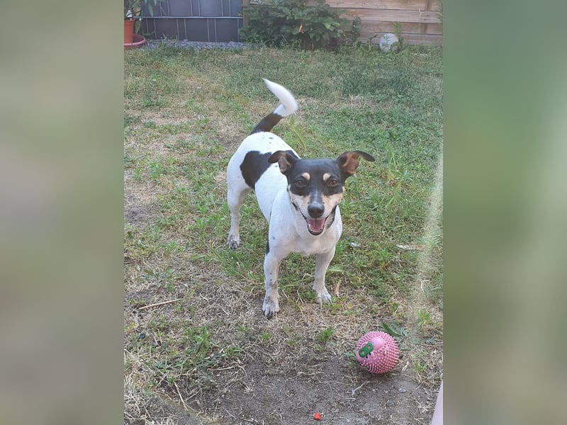 Elli, 9 Jahre, 30cm sucht neues Zuhause