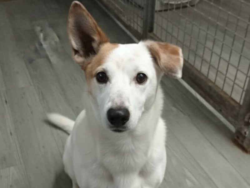 PATTY & BOGA suchen zusammen ein Zuhause