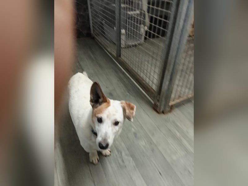 PATTY & BOGA suchen zusammen ein Zuhause