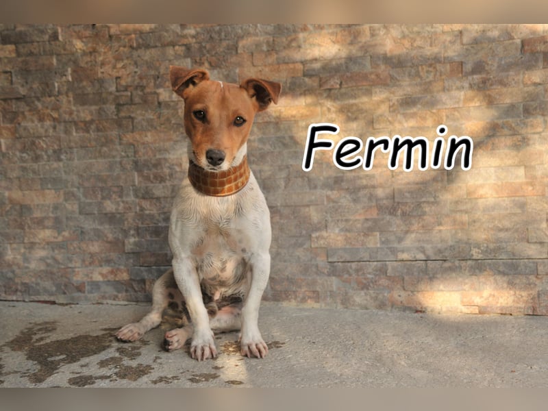 Haben Sie mit Fermin großes vor?