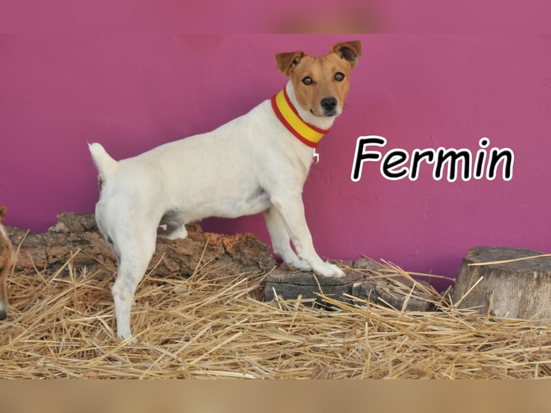 Haben Sie mit Fermin großes vor?