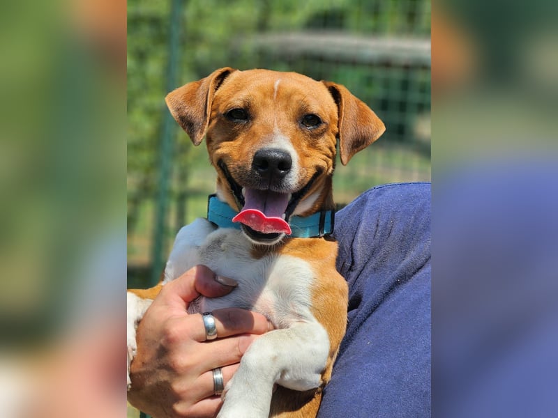Turbo ist bereit und wartet auf seine Familie