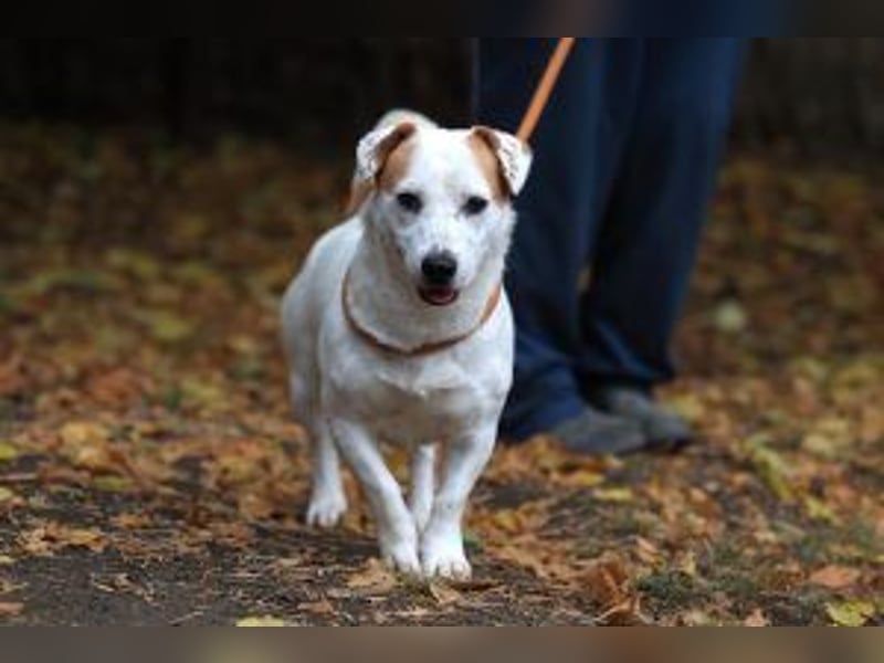 Update: Rusty sucht aktives Zuhause