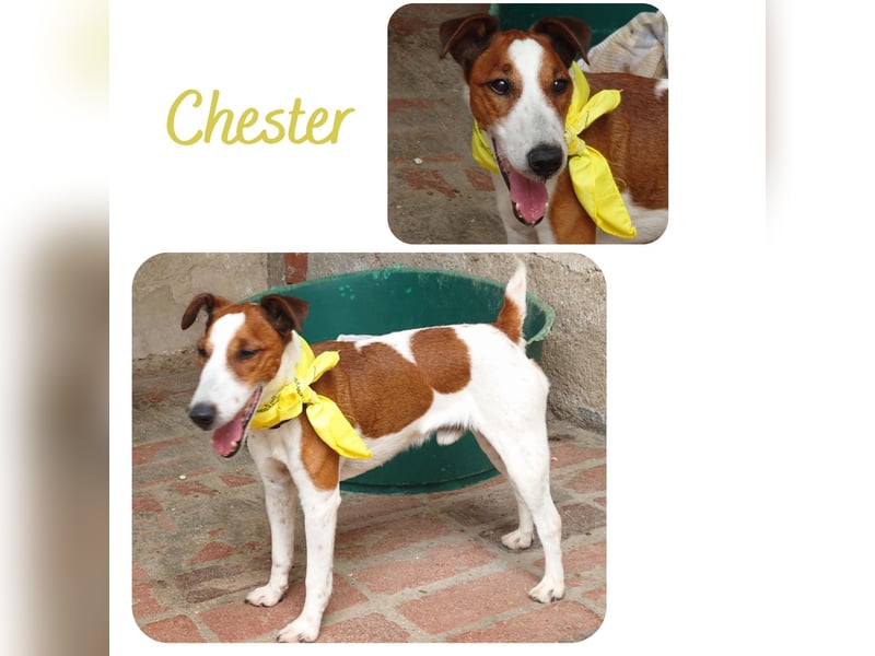 Chester