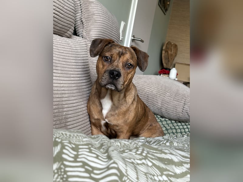 Unser Teddy sucht ein neues Zuhause 