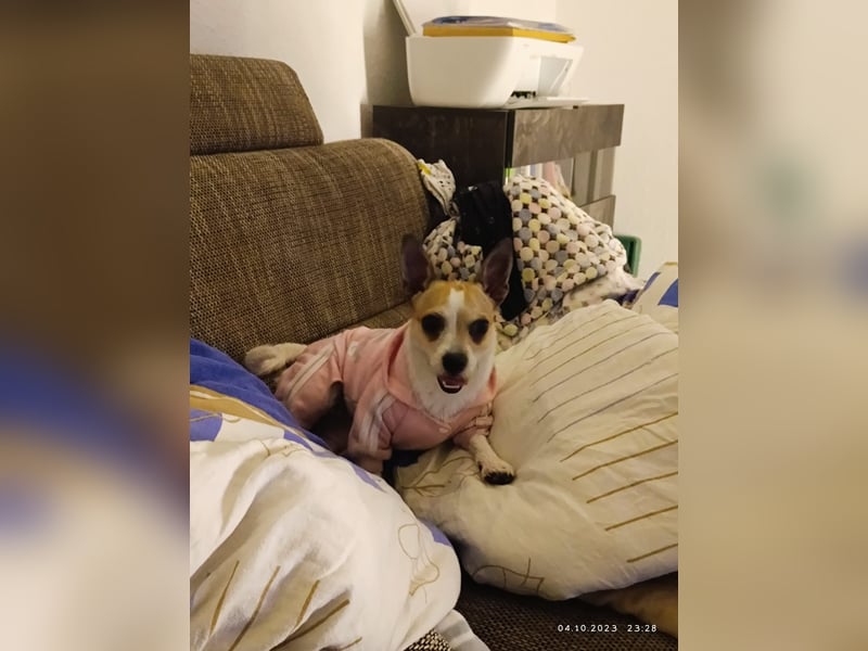 Elly  kleiner lebensfroher Sonnenschein aus 08548